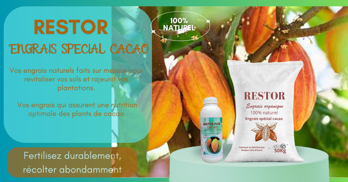 RESTOR special Cacao